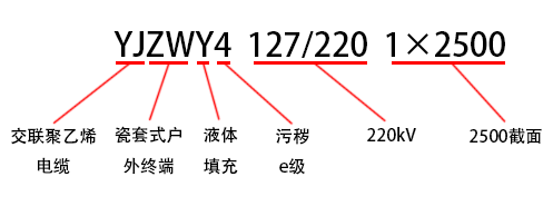 12.png