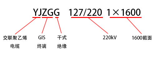 13.png